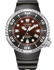 Citizen BN1024-01Z