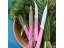 Nôž na zeleninu Opinel Les Essentiels N°114 7 cm, ružový, 002037