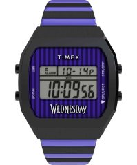 Hodinky Timex TW2Y19500QY