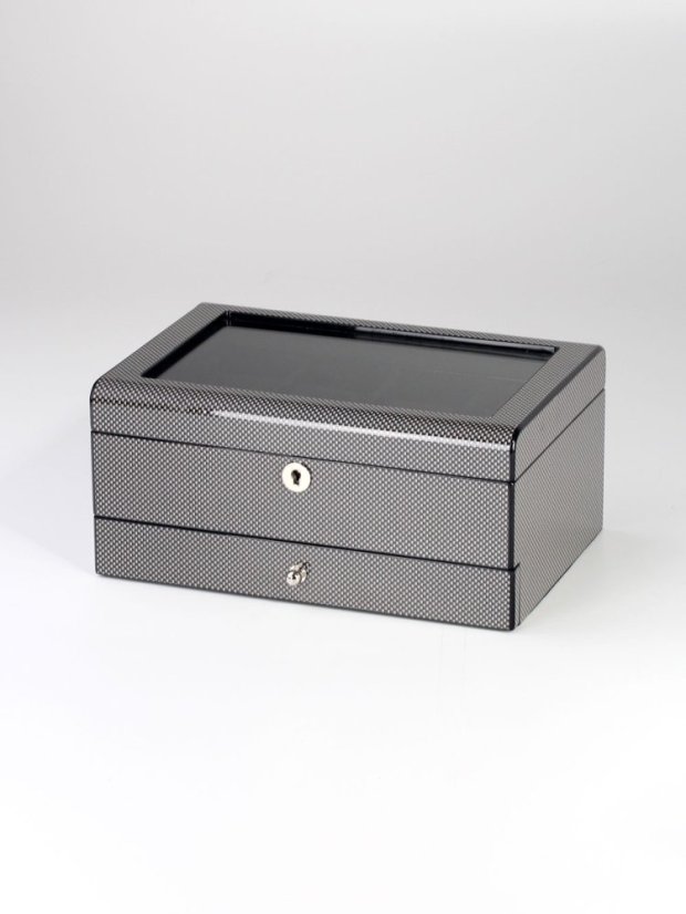 Watch box Rothenschild RS-2268-8-CA