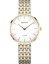 Bering 19334-010