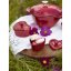 Staub Cocotte mini ceramic heart-shaped baking dish 10 cm/0,2 l, cherry, 40511-092