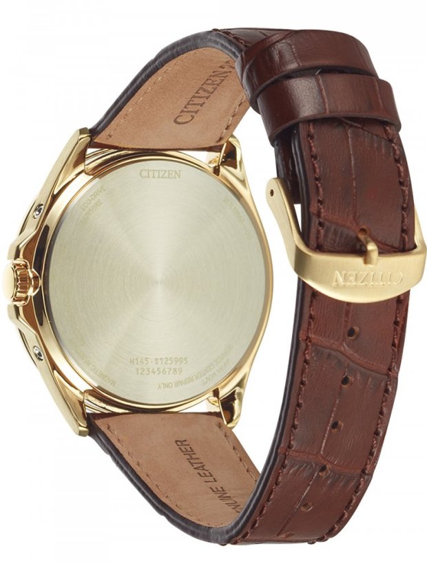 Citizen CB0253-19A
