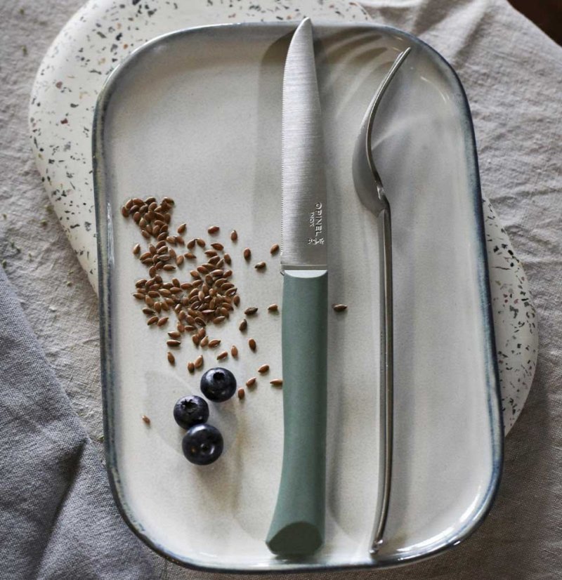 Opinel Bon Appetit steak knife with polymer handle, sage, 002195