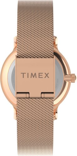 Hodinky Timex TW2U87000UK