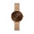 Hodinky Daniel Wellington DW00100476