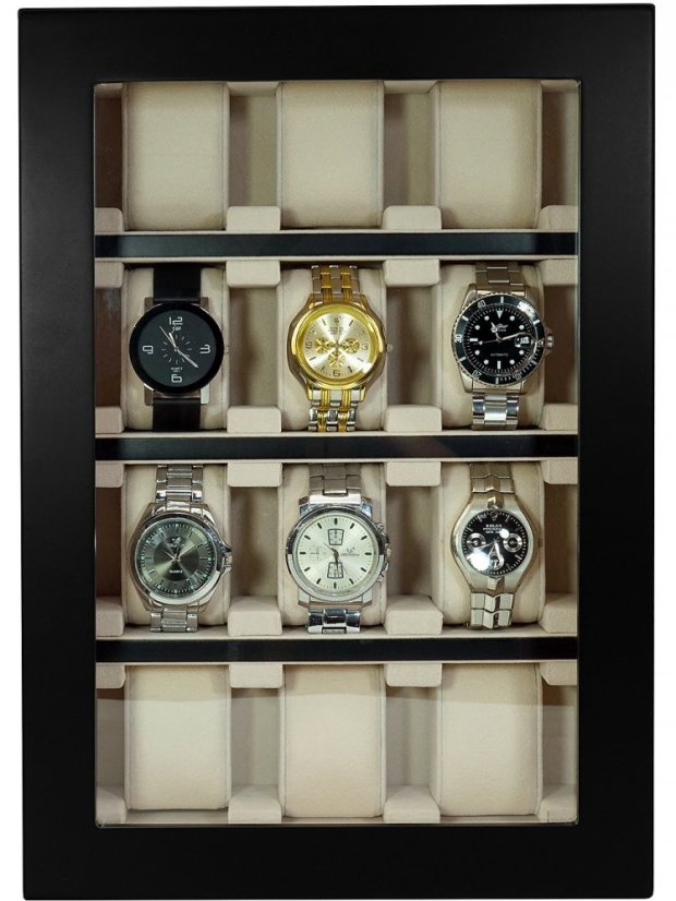 Watch box Rothenschild RS-1100-12BL