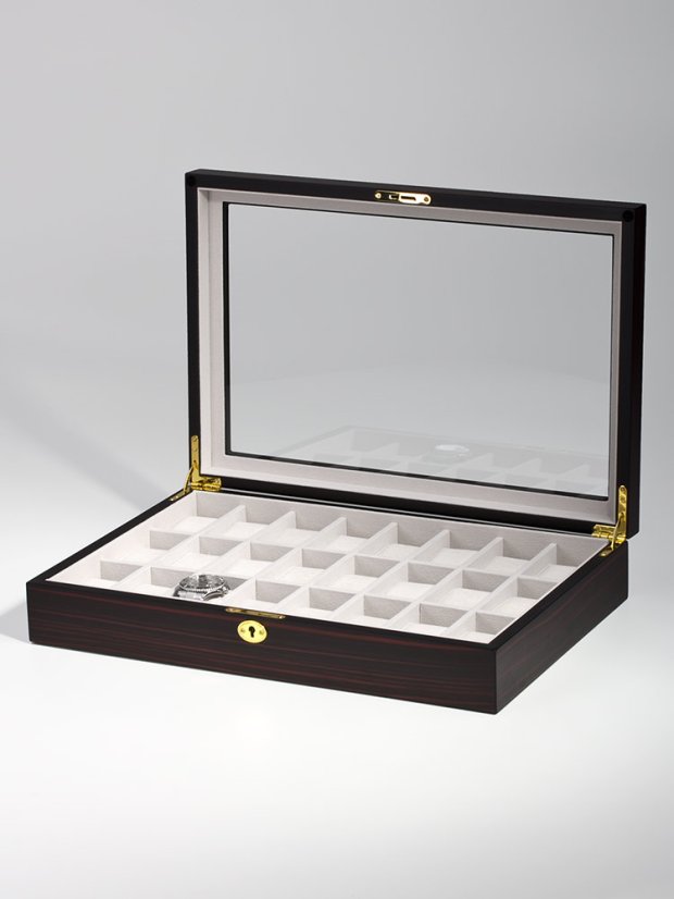 Watch box Rothenschild RS 1087 24E