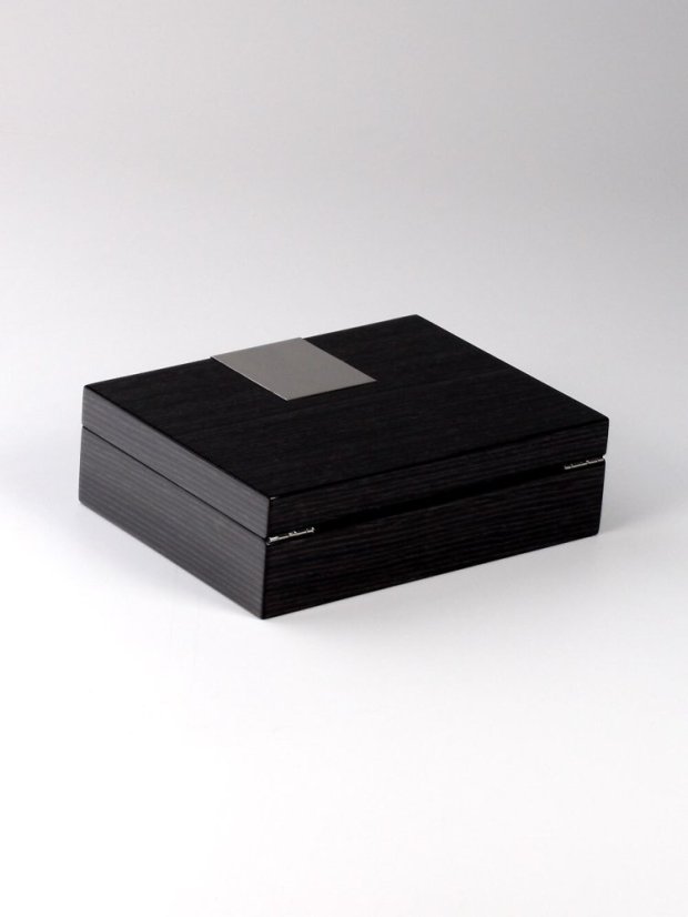 Watch box Rothenschild RS-2272-6