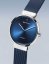 Bering 14531-309