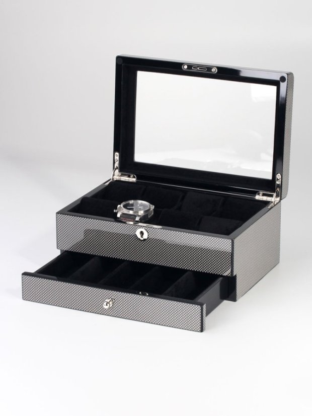 Watch box Rothenschild RS-2268-8-CA