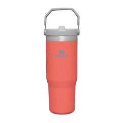 Stanley IceFlow Tumbler Thermo-Wasserflasche 890 ml, Guave, 10-09993-195