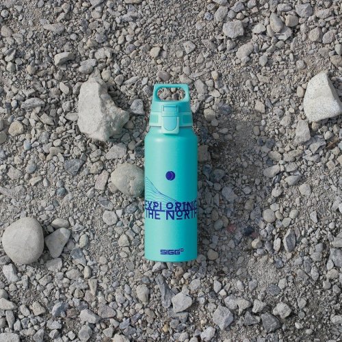 Sigg WMB One Trinkflasche 1 l, Pfadfinder Gletscher, 9025.90