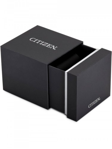 Citizen AT2480-81X