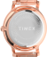Hodinky Timex TW2W19200UK