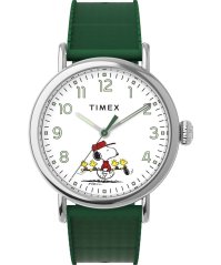 Hodinky Timex TW2W78900UK