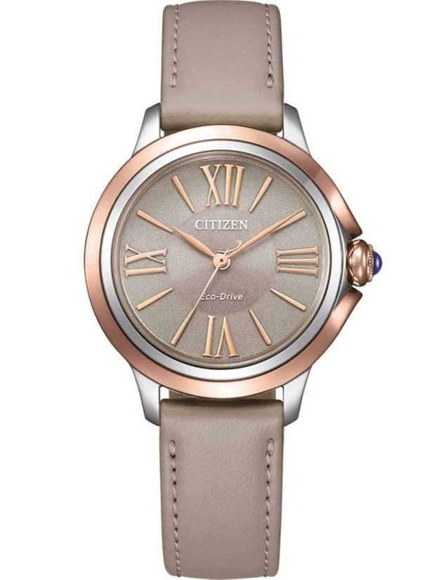 Hodinky Citizen EM1166-01Z