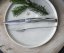 Opinel Table Chic steak knife set, 4 pcs, Finnish birch, 002483