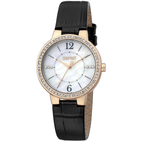 Esprit Watch ES1L228L2075