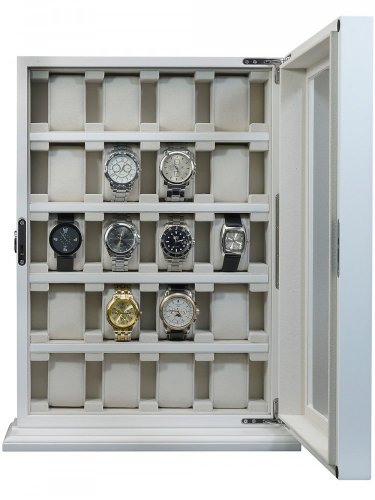 Watch box Rothenschild RS-1100-20WH