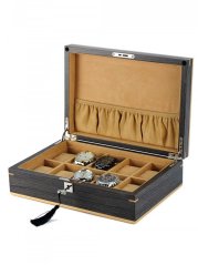 Watch box Rothenschild RS-2320-10G