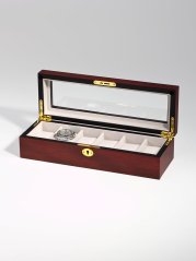 Watch box Rothenschild RS-1087-6C