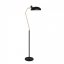 Roseanna Floor Lamp, Black, Metal - 68809734