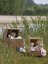 Susan Spielzeug-Kinderwagen, Natur, Bankuan-Gras - 82047050