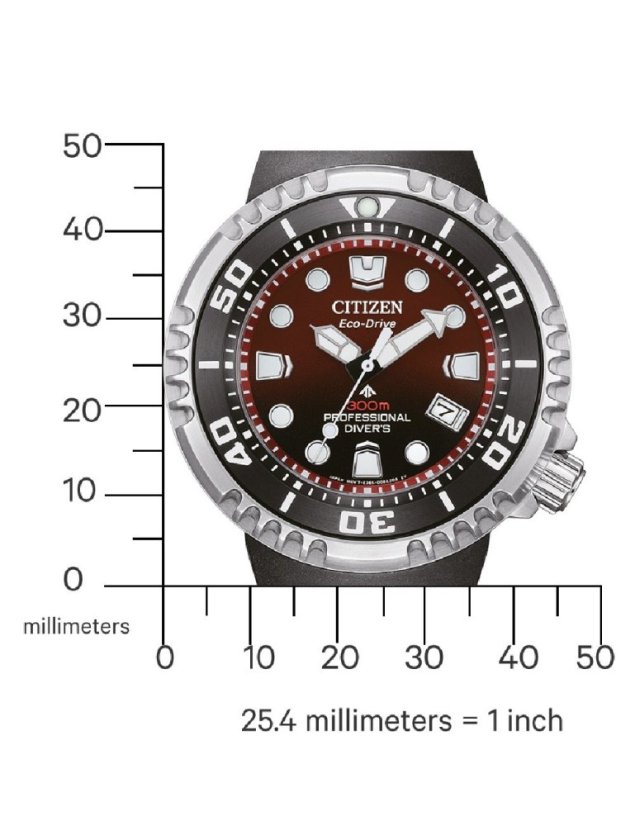 Citizen BN1024-01Z