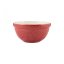 Mason Cash In The Forest bowl 21 cm, red, 2002.151